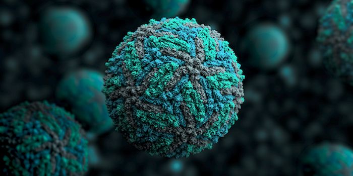 Key Proteins in Zika Infection are Revealed