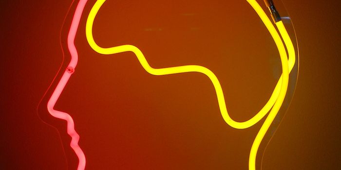 Psychobiotics - The Influence of the Gut Microbiome on our Mind