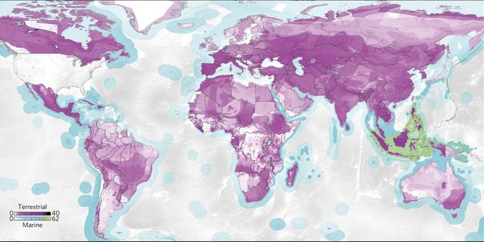 A map's view: global consumption's impacts on wildlife