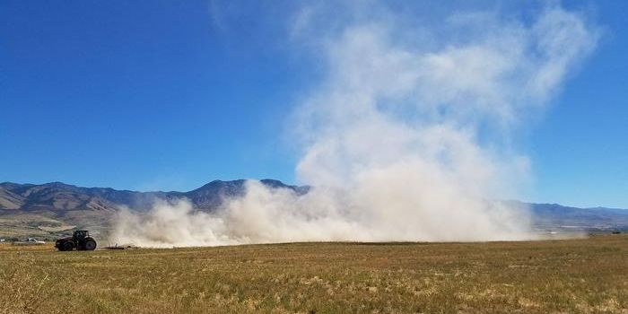 Algae Growth Linked to Atmospheric Dust: Insights from Pioneering Research