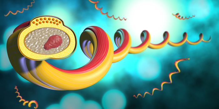 STDs Still on the Rise in U.S.