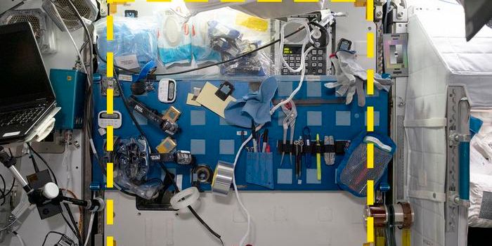 Revealing the True Habits of ISS Astronauts Through Space Archaeology
