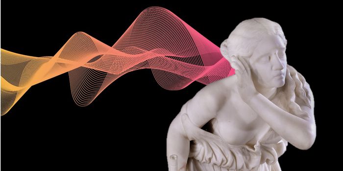 Sonic Mapping: Echolocators Redefine Visual Cortex