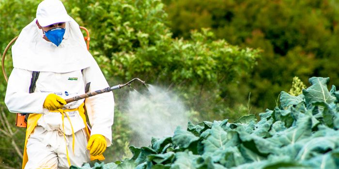Is it possible to cut pesticide usage and maintain productivity?