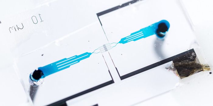 Chip tracks cells by giving each one a digital code