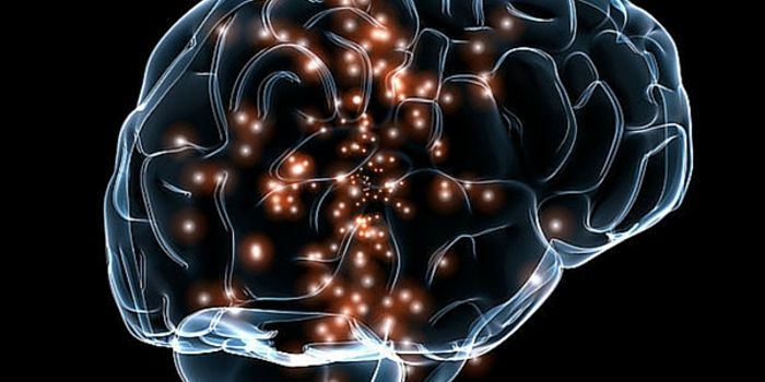 Have Neuroscientists Discovered The Matrix?