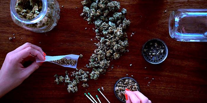 Researchers to Study Impact of COVID-19 on Medical Marijuana Patients