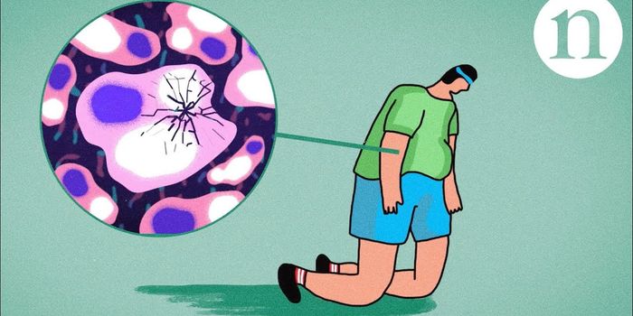 Diagnosing and Treating Fatty Livers to Prevent Disease