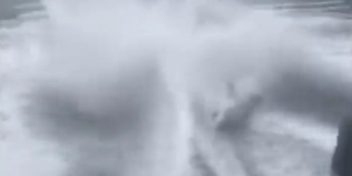 FWC Charges Three Men Involved in Horrific Shark Footage with Animal Cruelty