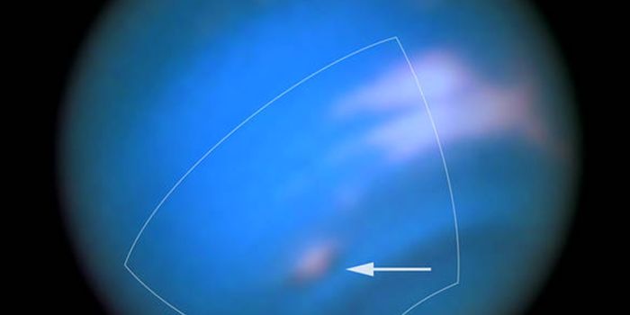 Hubble Spies a New Dark Spot in Neptune's Atmosphere