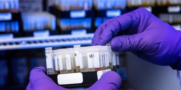 Researchers Reveal the 3D Structure of a Viral Protein & How to Neutralize It