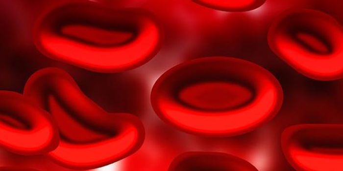 Blood-based Genetic Biomarkers Identify Young Boys with Autism