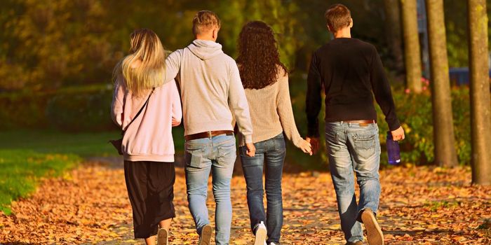 Social Support and Compassion Linked to More Diverse Gut Bacteria