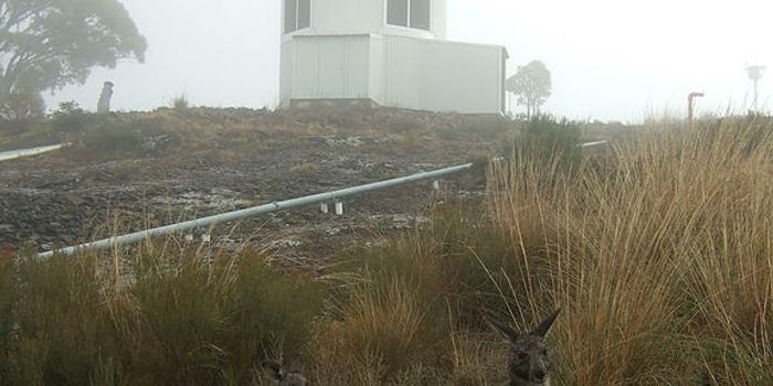 Citizen Stargazers Find Supernovas