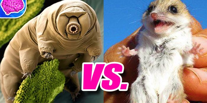 Awwww.... Scientists Really Know #Cute