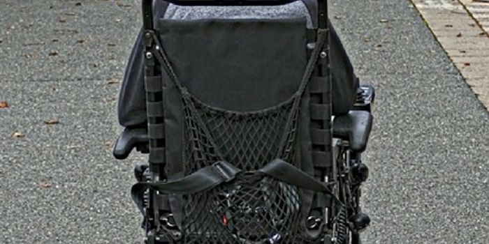 A Surprising Finding in Multiple Sclerosis Research