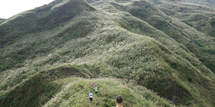 How does mountain growth affect chemical weathering and the carbon cycle?