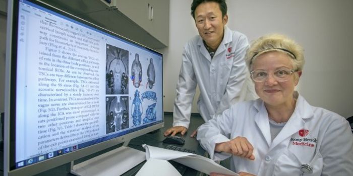 Sleep, Waste Removal and Brain Function