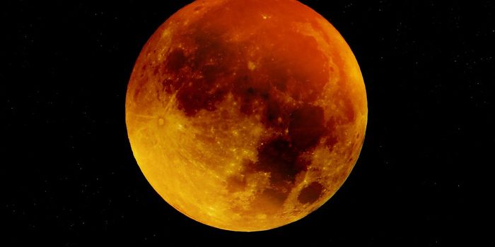 In case you missed it...