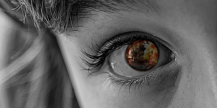 Experiencing the Pain of Others