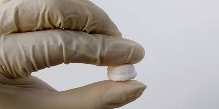 New Versatile Ceramic Material is Heat-Resistant and Squishy