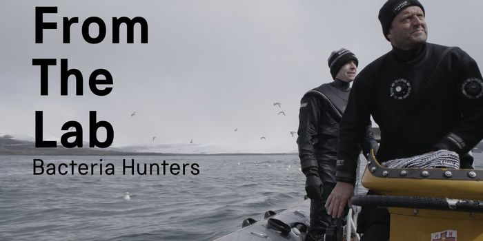 Searching For Bacteria in Iceland