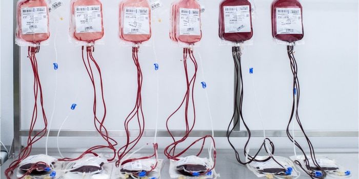 Blood Vessel Organoids Reveal More About Diabetes