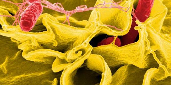 A Explosion of Genetic Data Brings Errors That Grow