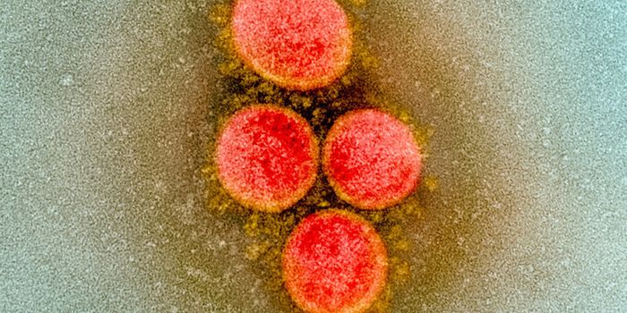 Preprint Suggests Sars-CoV-2 Mutation Makes it More Transmissable