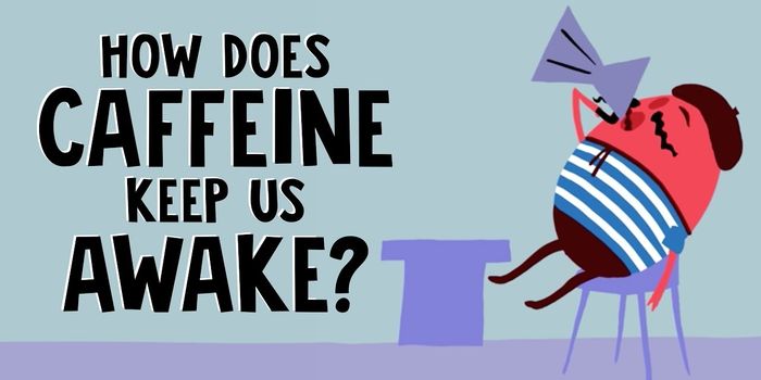 How Does Caffeine Work?