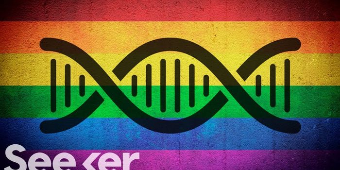 The Genetics of Sexuality