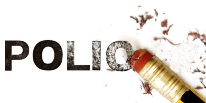 New Safe, Effective Polio Vaccine Strains