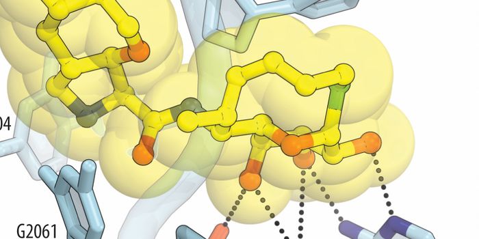 Antibiotic Resistance Conquered by Cresomycin's Tight Hold on Bacterial Machinery