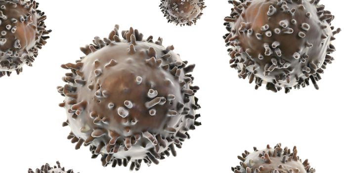 Viral Fossils Reveal Immune Capabilities of Our Ancestors