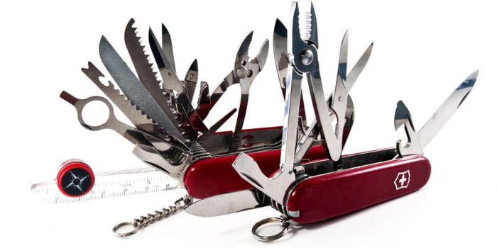 USING FEWER BRAIN ‘TOOLS' MAY SPEED LEARNING