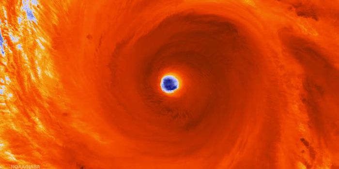 Infrared Image Of Typhoon Maysak