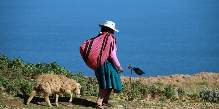 Implementing indigenous practices improves environmental management