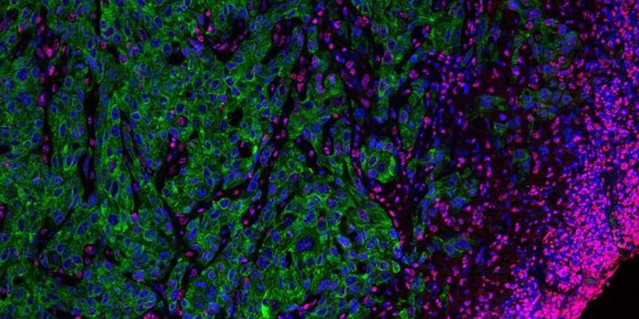 A Warning About Using Epigenetic Modifiers as Therapeutic Targets