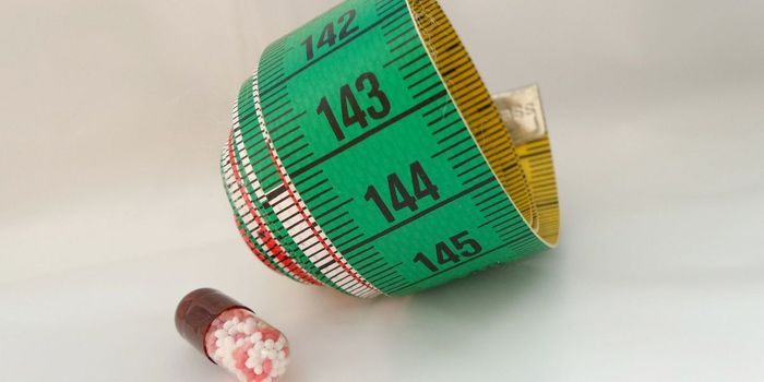 High Fat Diet Could Prevent Anorexia Deaths