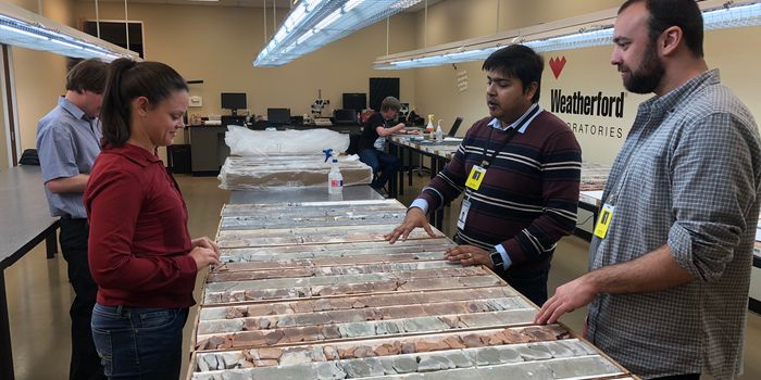 Examining Oil to Learn About Earth's Extinction History