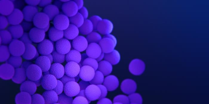 A Concerning Link Between Malnutrition & Antibiotic Resistance is Discovered