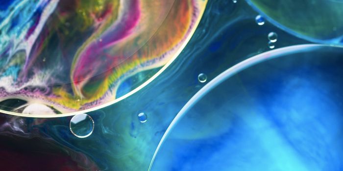 Chemical Cues May Have Enabled the Rise of Multicellularity