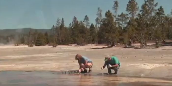 A Microbe's Membrane Protects It From Extreme Environments