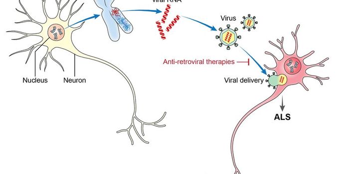 New Information From An Old Virus?