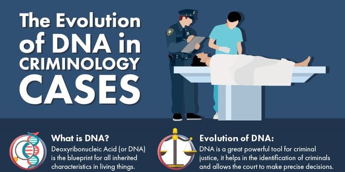 DNA and Crime Detection