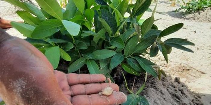 A Call for Action: Coordinating Climate Change Adaptation on a Global Scale