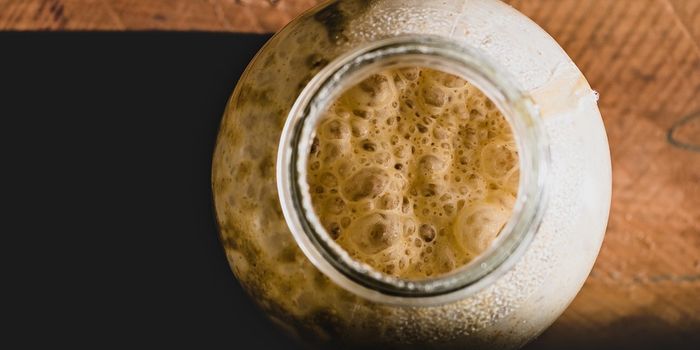 Yeast Cells Can Be Used to Detect Active Cannabinoids