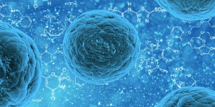 Newly Discovered T Cell Subset is Linked to Autoimmune Disease