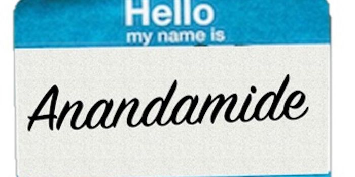 Meet Anandamide - The "Bliss" Molecule