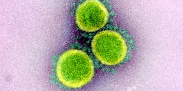 Researchers Suggest Repurposing Pancreatitis Drug to Treat COVID-19